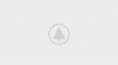 wood-portfolio-placeholder