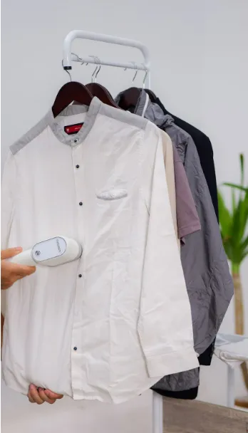 Neozen Garment Steamer