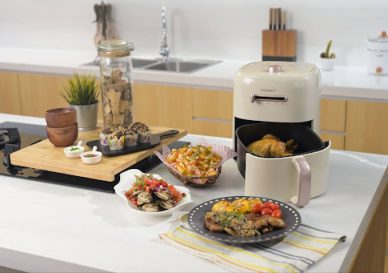 air fryer vs air fryer oven